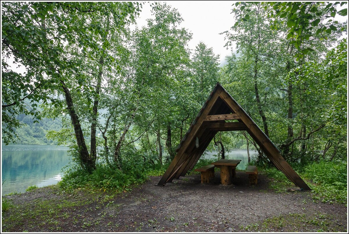    Фото: пресс-служба Кавказского заповедника