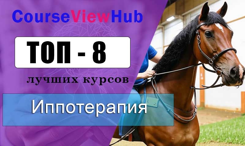 Лучшие курсы по иппотерапии