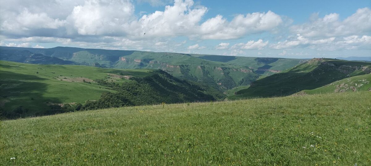 Впереди Гришкина балка