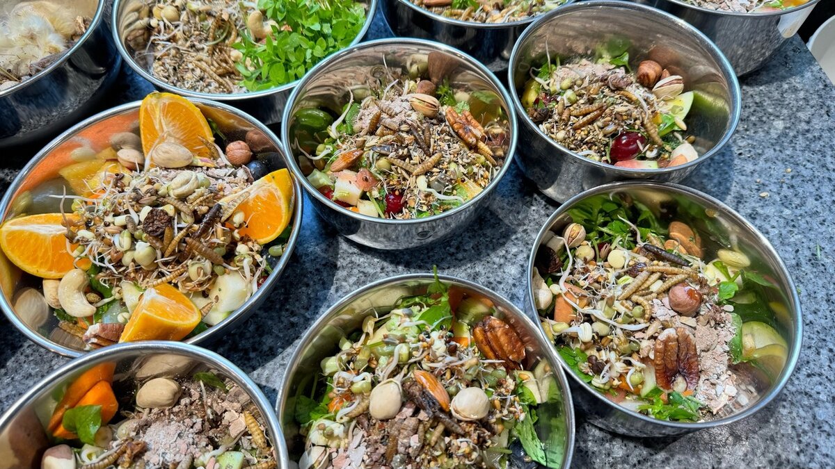 Индивидуальные порции для подопечных Святилища