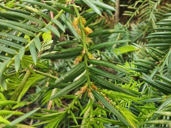    Фото: vk.com/dvorecpionerov