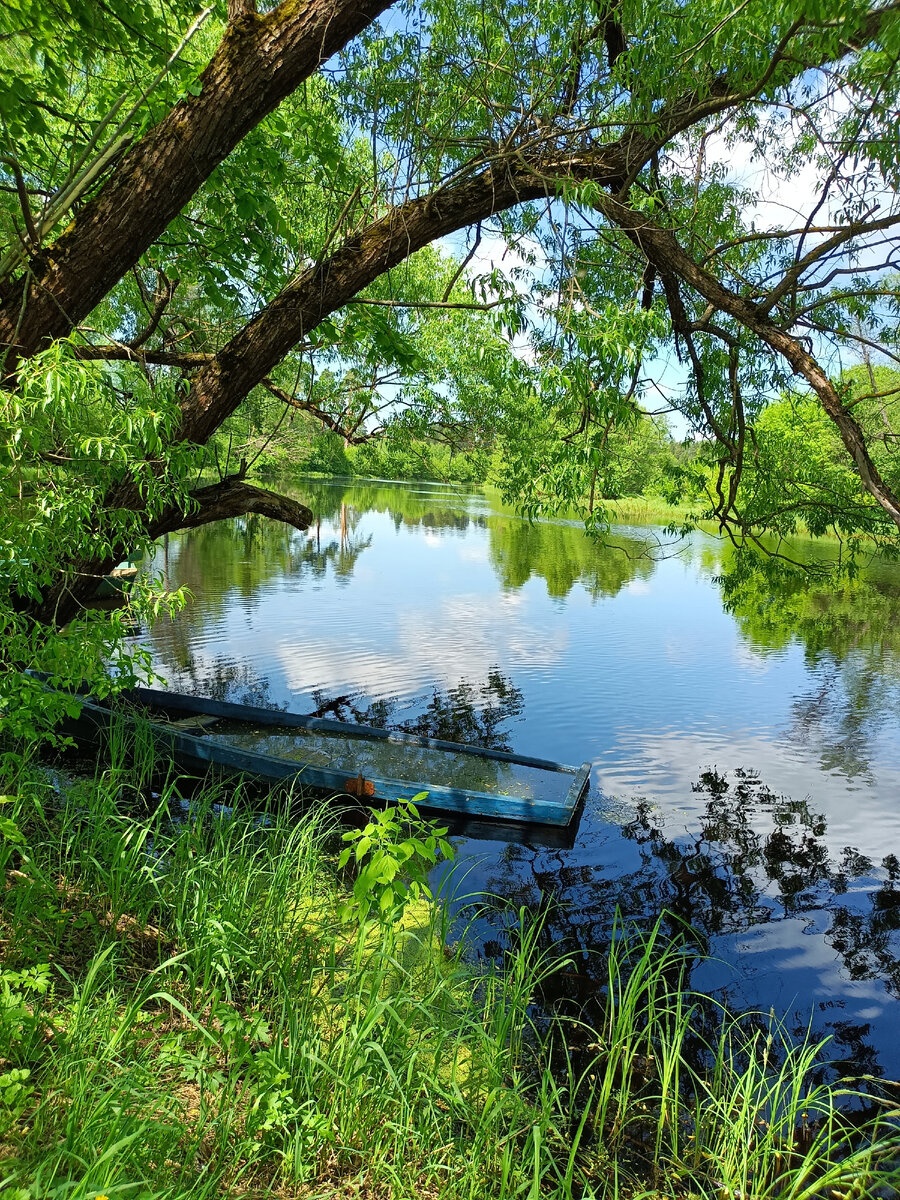 Река Поля около села Кривандино, г.о. Шатура, Моск.обл. Фото автора, 2022 г.