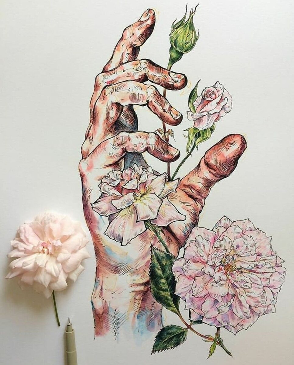 Картинка взята из интернета 