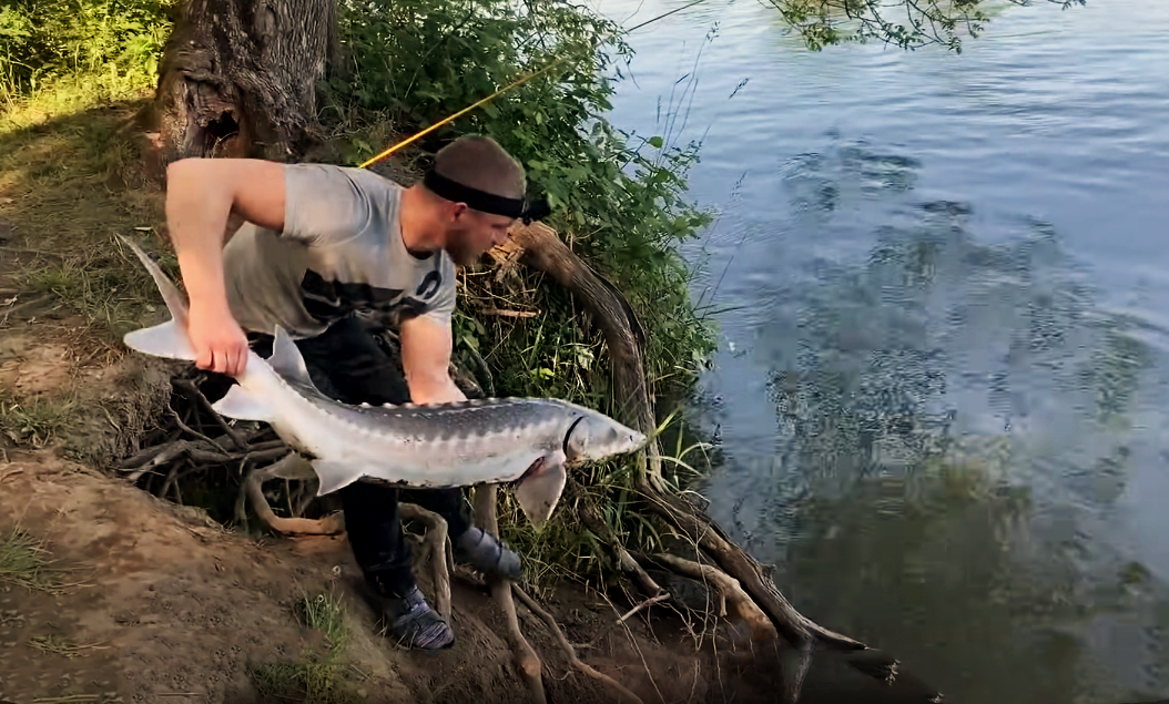 Сегодня действительно стало много рыбаков, которые отпускают улов.