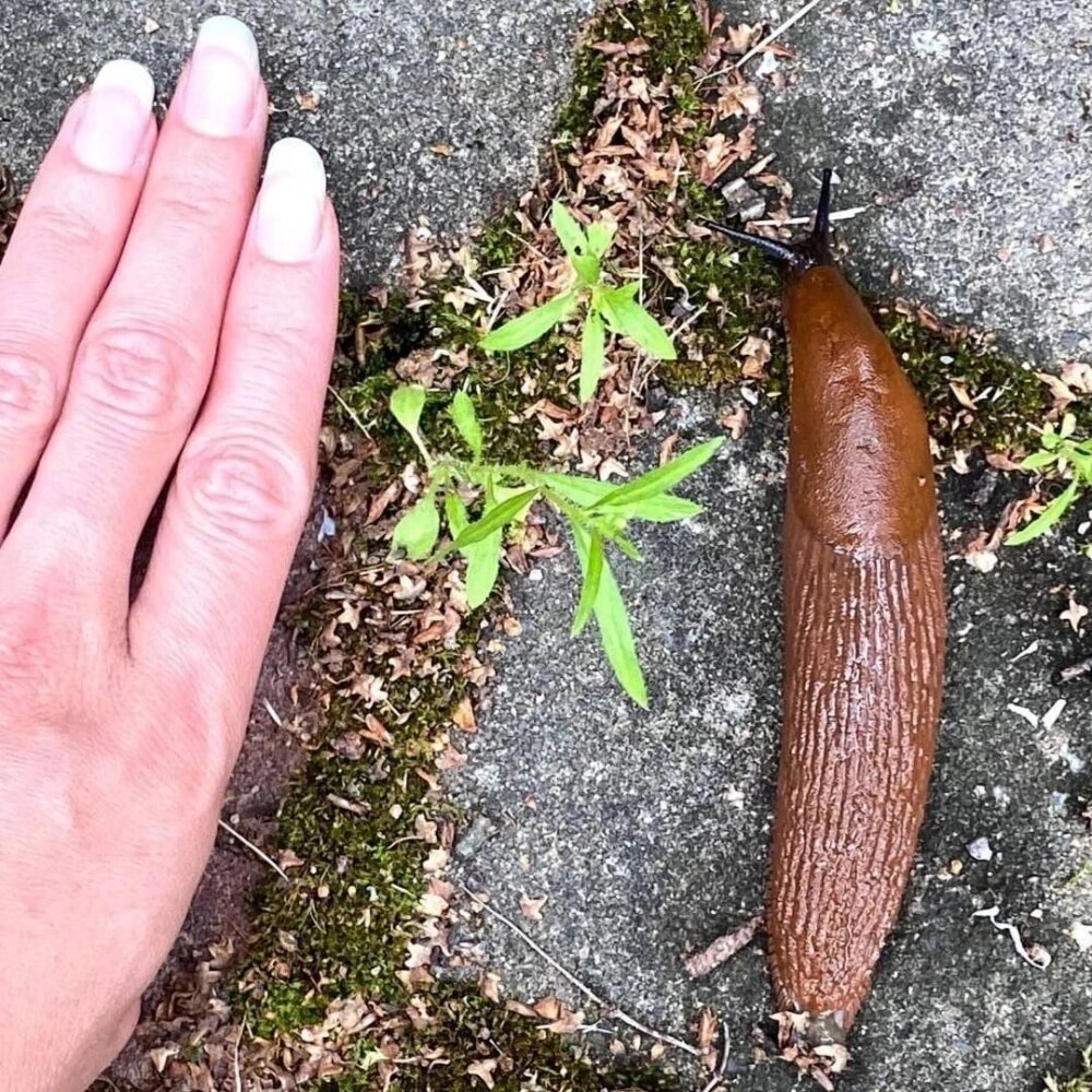    Фото: Из личного архивa