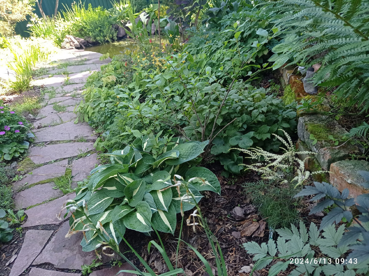 здесь не видно