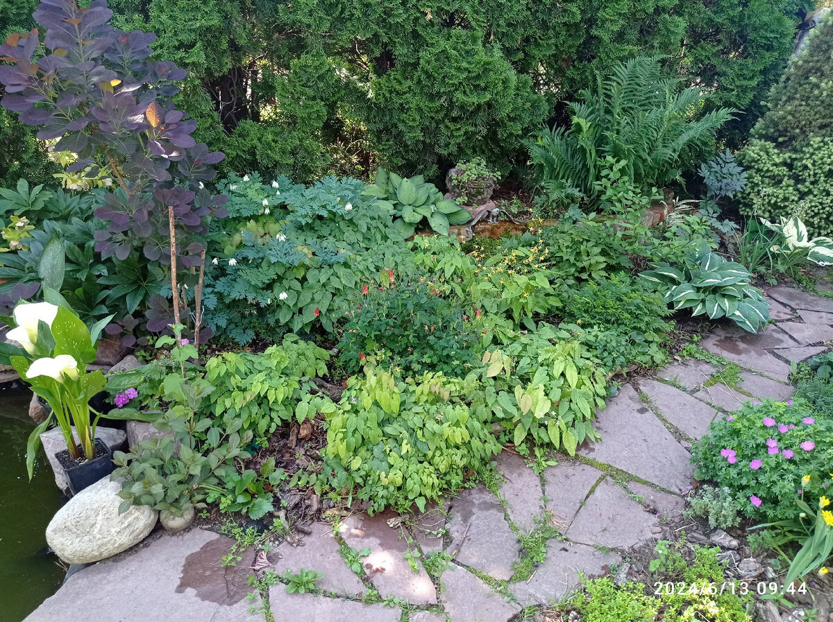 с другого ракурса