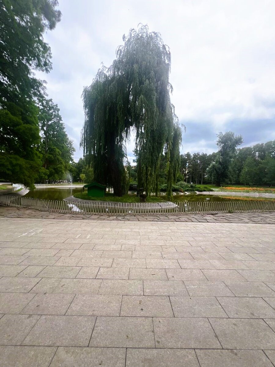 пруд Эржебет