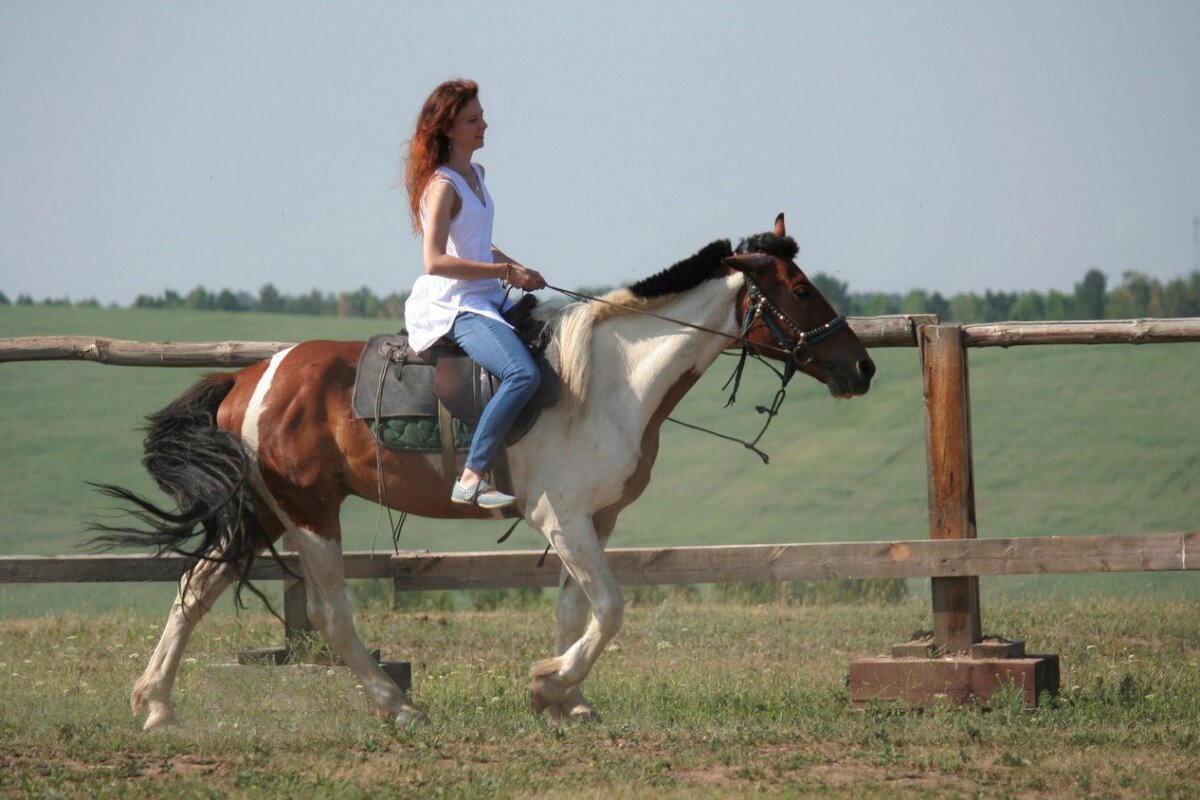 Орлик был лучшим из коней, которых я знала. Честно. Вообще не амбициозный паренёк. Мы с ним максимум рысью передвигались. Никаких галопов и прочих глупостей. Да, и он меня ни разу не кусал.