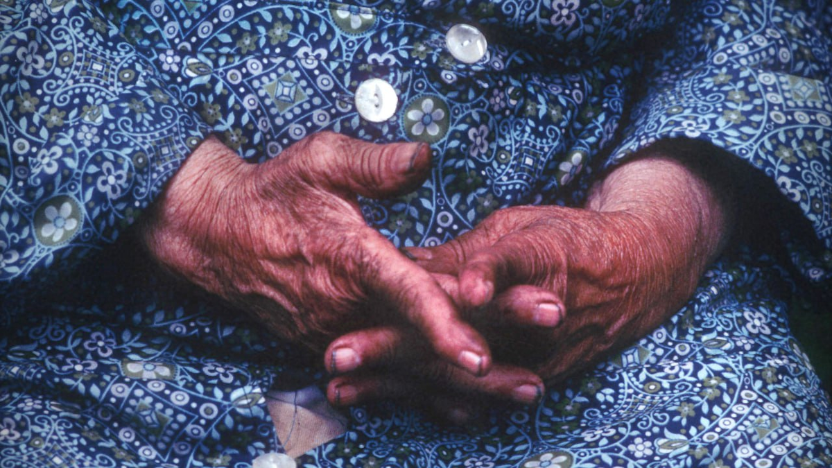 Фото: Global Look Press/Bernard Jaubert/http://imagebroker.com/#/search  (из архива)