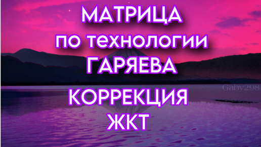 Матрица по технологии ГАРЯЕВА. Желудочно-кишечный тракт. Коррекция