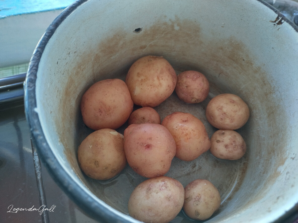 С картошечкой