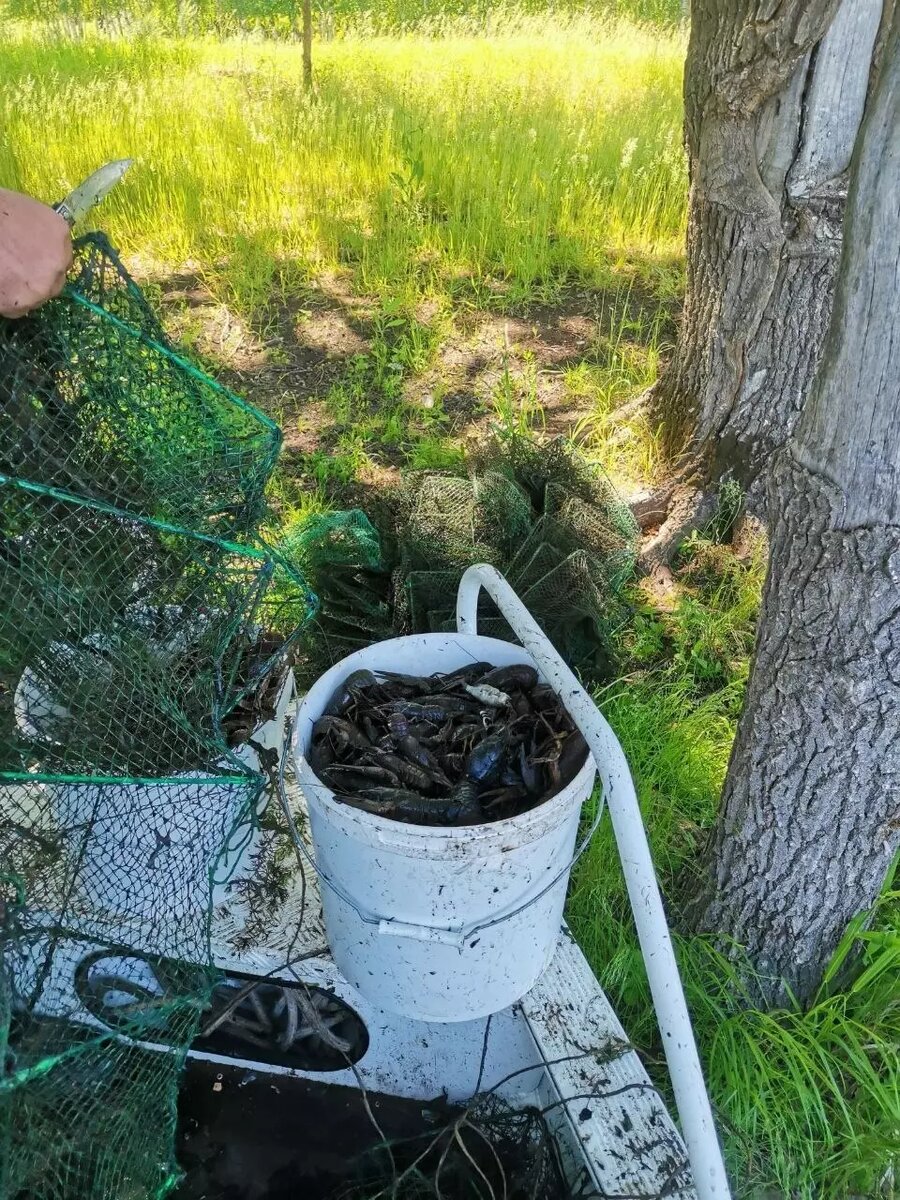     Источник: Пресс-служба прокуратуры Удмуртии