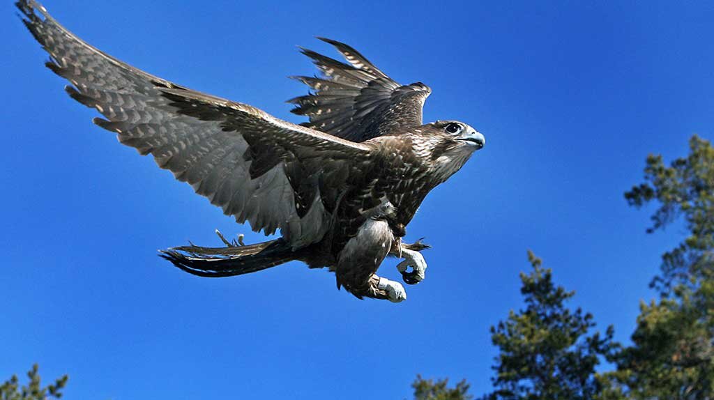 Фото: www.ap22.ru