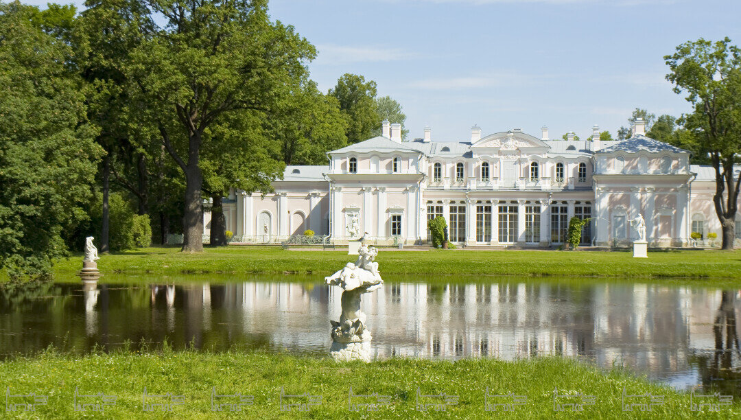    Фото: Irina Afonskaya / Shutterstock