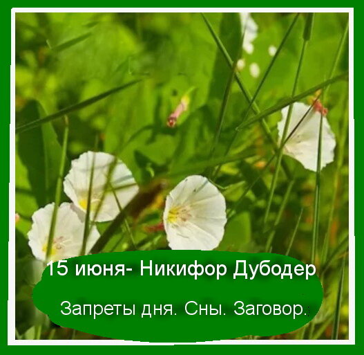 Источник : Яндекс  картинки.
