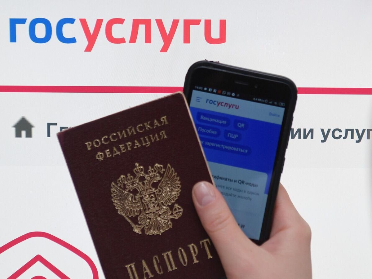   Справочно-информационный интернет-портал Госуслуги© РИА Новости / Владимир Трефилов