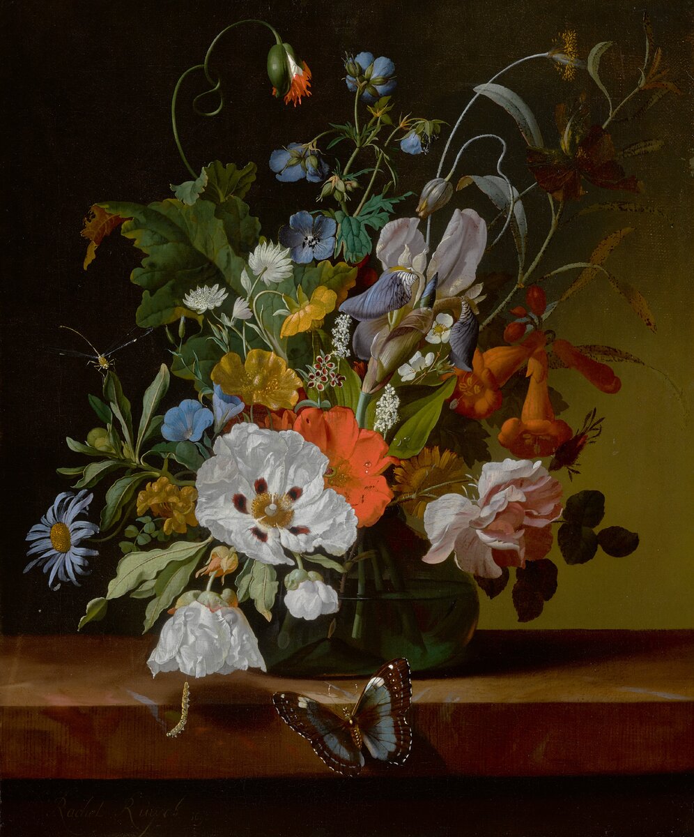    Бренд Razumno и бюро «МОХ» выпустили летнюю коллаборацию (фото 1)