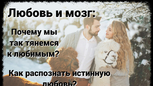 Любовь и мозг: Почему мы так тянемся к любимым❓Как распознать истинную любовь❓