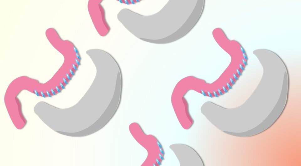   Lina Wolf / Wikimedia Commons / ATTRIBUTION-SHAREALIKE 4.0 INTERNATIONAL