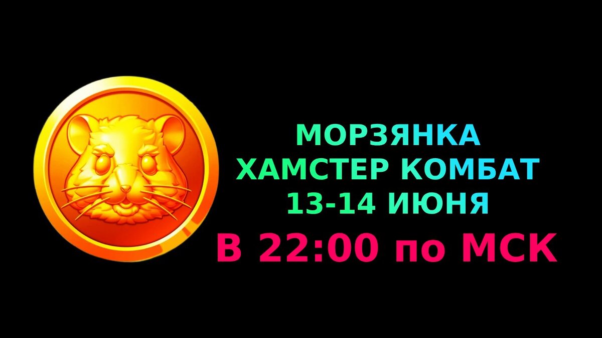 Шифр hamster kombat 28 августа