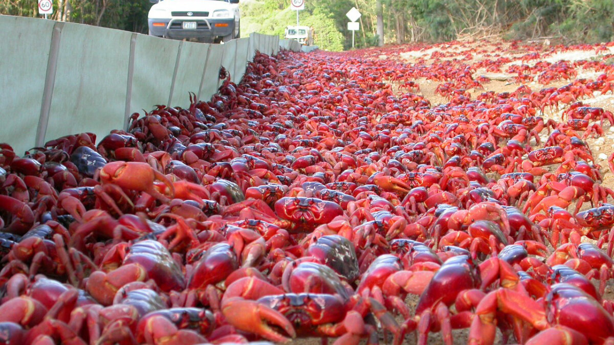 Граждане, не задерживаем очередь, проходим