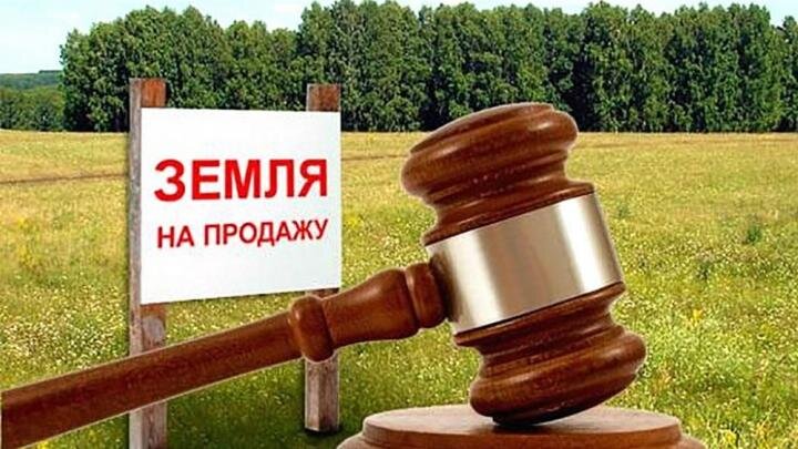 Фото: пресс-служба Администрации г. Москва/mos.ru