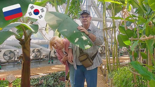 Русские родители в Корее! Изучаем ботанику в Корее. Катя и Кюдэ/Пусан