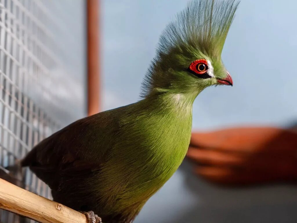 Фото телеграм-канал парка «Лога»