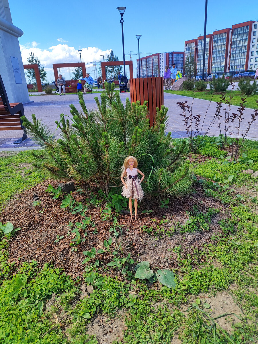 Стесняются ли кукульного хобби родные и близкие. Фото автора.