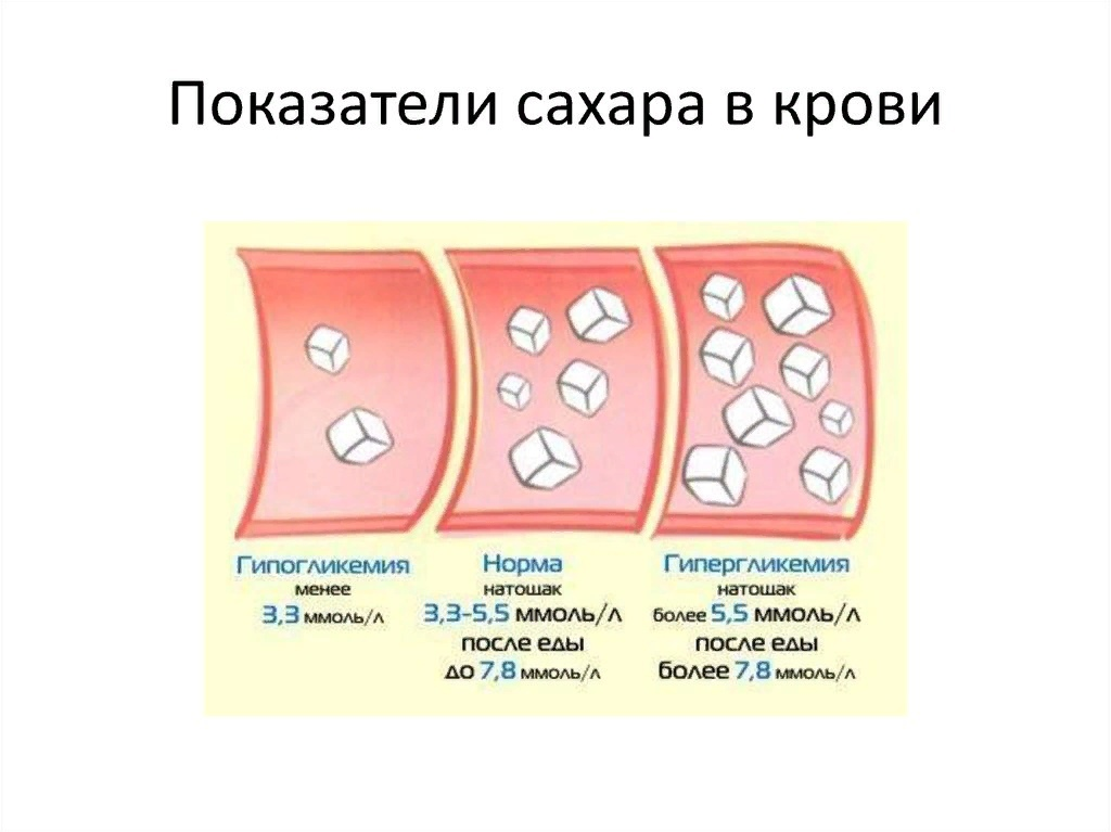 Биохимические механизмы нарушения обмена углеводов и липидов - презентация, докл