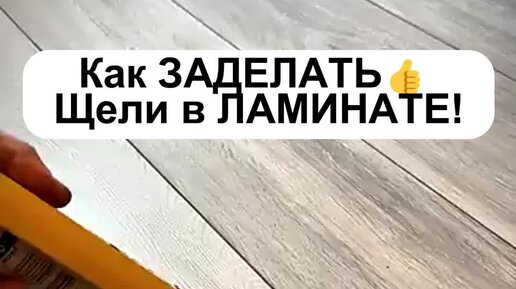 Подписаться на канал в дзене