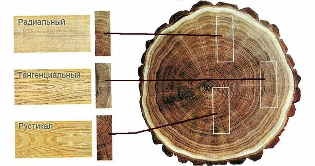Способы распиловки пиломатериалов