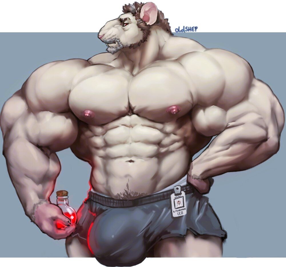 Новый шифр в Хомяке на 13-14 июня