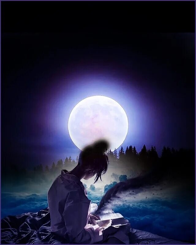 из открытого источника