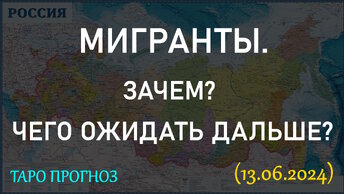 МИГРАНТЫ. ЗАЧЕМ? ЧЕГО ОЖИДАТЬ ДАЛЬШЕ? ПРОГНОЗ ТАРО... (13.06.2024)