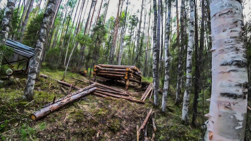 Хижина у реки. Балаган разрушен! Новый гость и помощник! Рыба ловиться рядом!