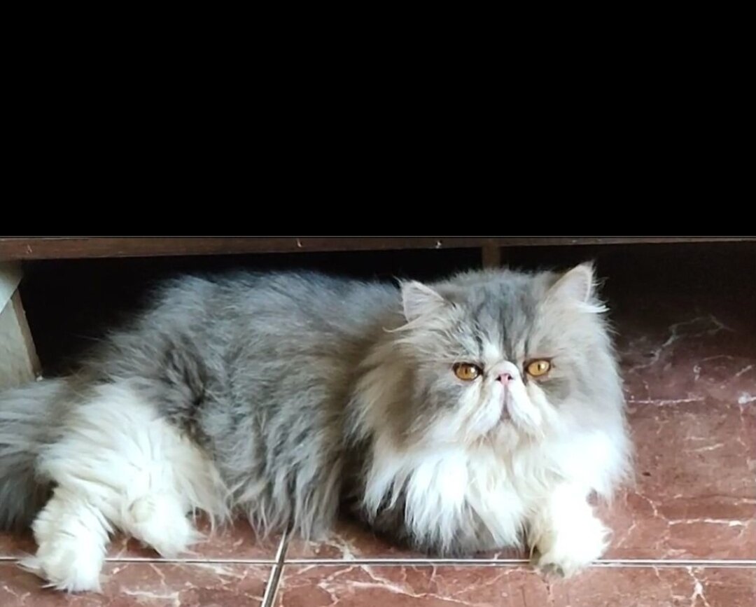 Фото из интернета.