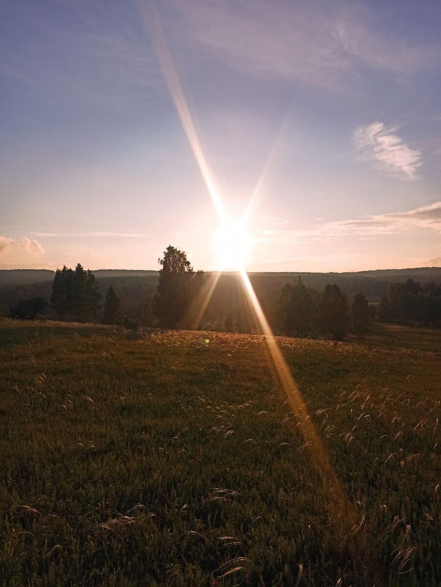 Вот, что мы увидели, когда пришли на место предполагаемой ночёвки. Фото Владимира Бровкина. 