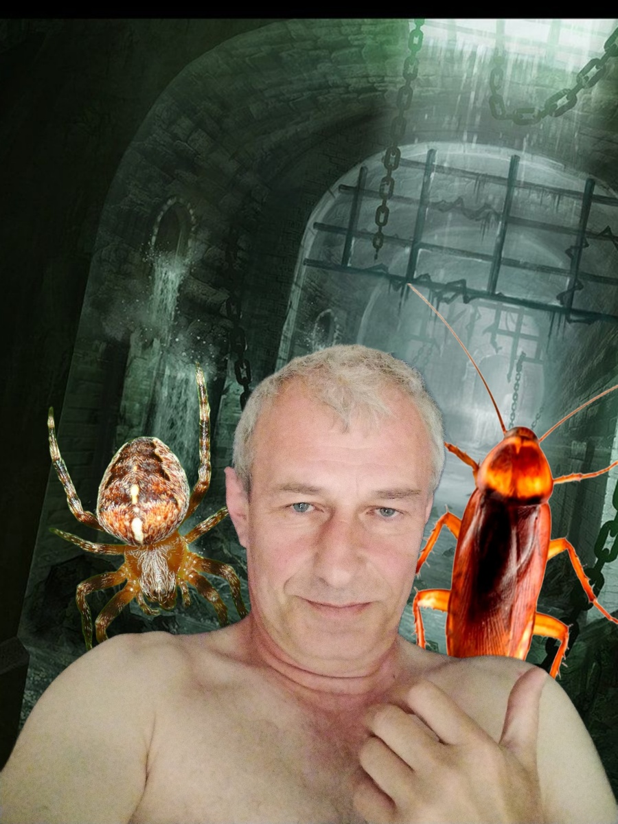 Дружная "семейка"