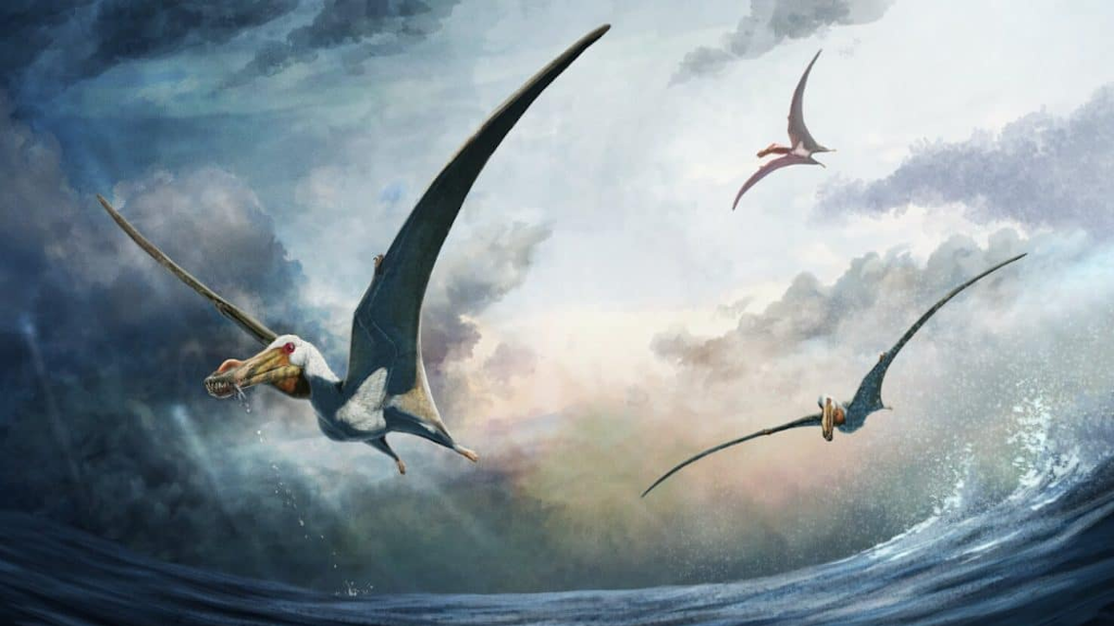 Над седой равниной моря гордо реял птерозавр...