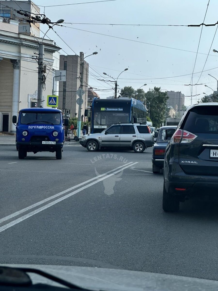    Фото: Очевидец