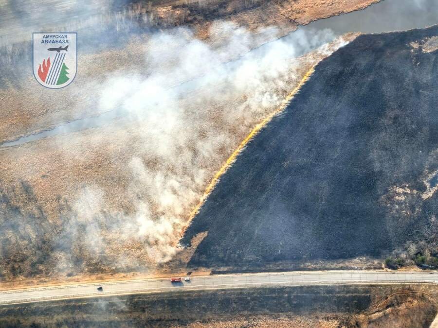    Фото: телеграм-канал «Амурские спасатели»