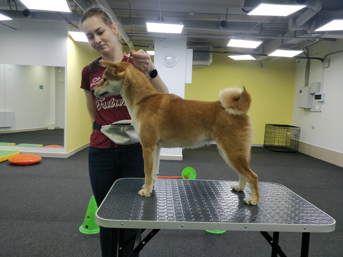 На тренировке, Сати и Мария Сергеевна