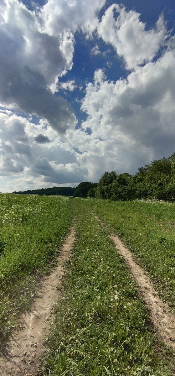 Личное фото