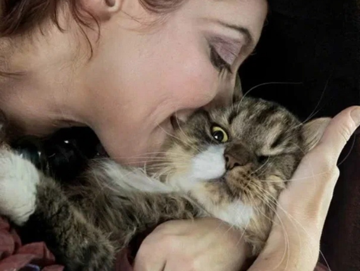 Что кошка прощает хозяину, потому что любит его