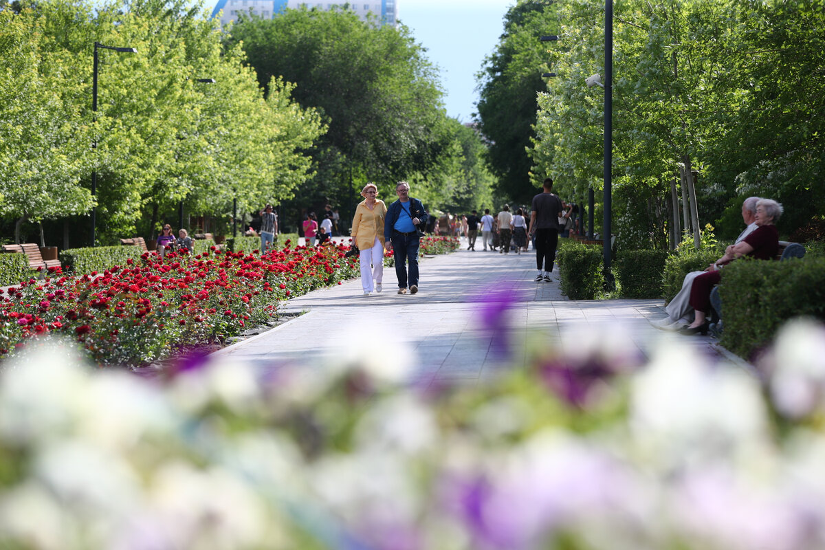 © Фото: ИД «Волгоградская правда» / Кирилл Брага