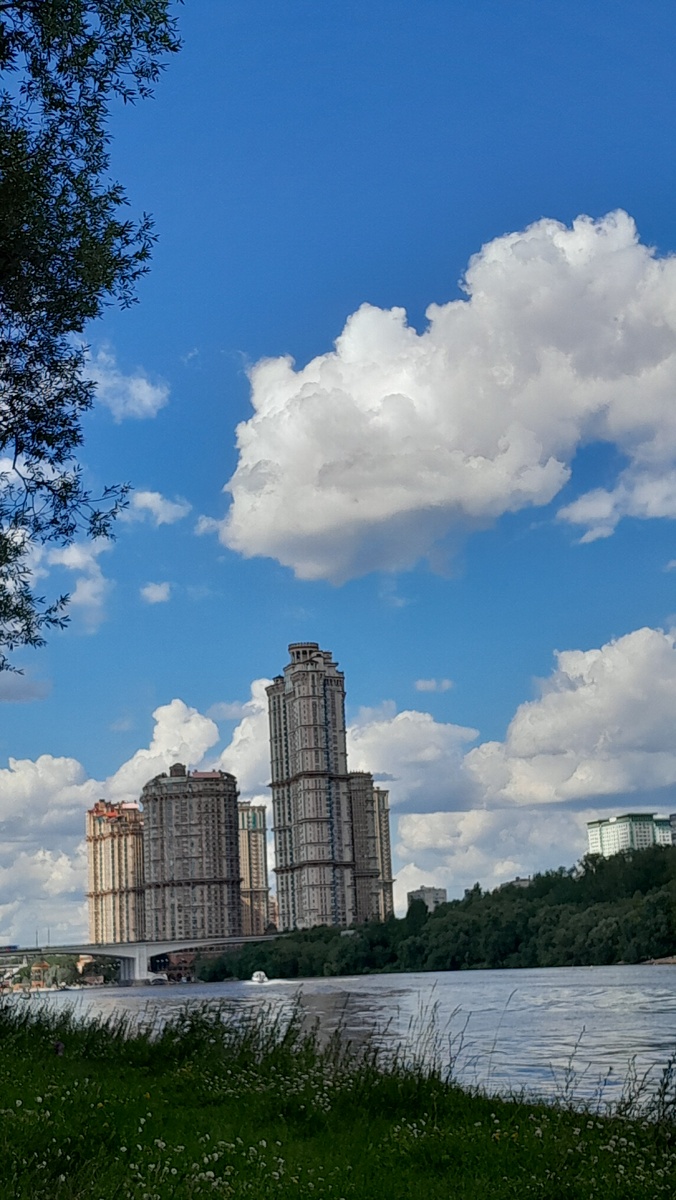 Сопровождение детей - Quiti