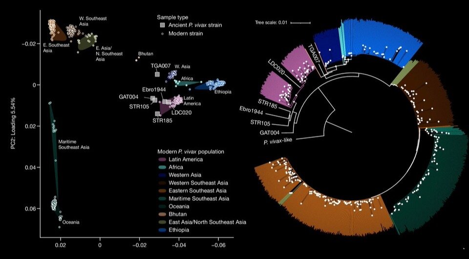   Megan Michel et al. / Nature, 2024