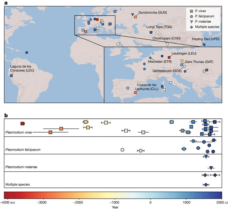   Megan Michel et al. / Nature, 2024